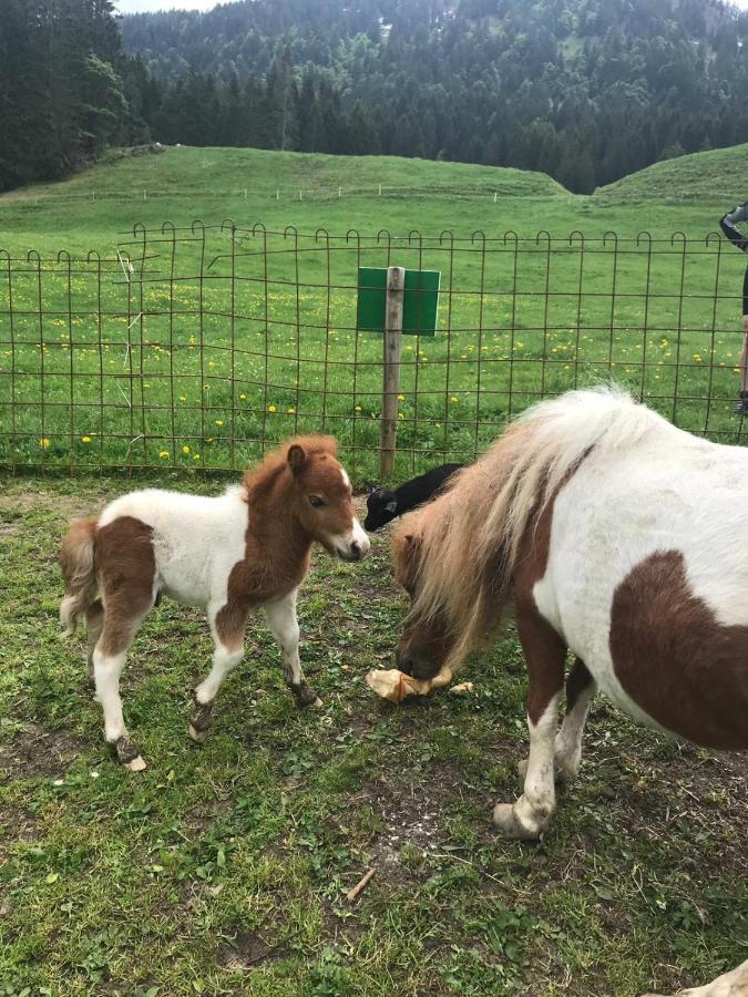 Jausenstation Neuschwand Bauernhof Hittisau