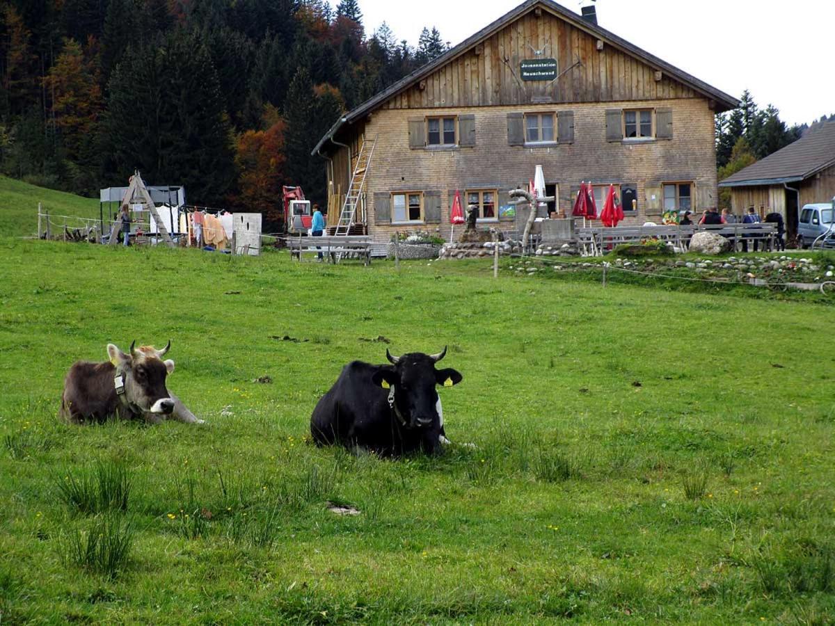 Bauernhof Jausenstation Neuschwand Hittisau