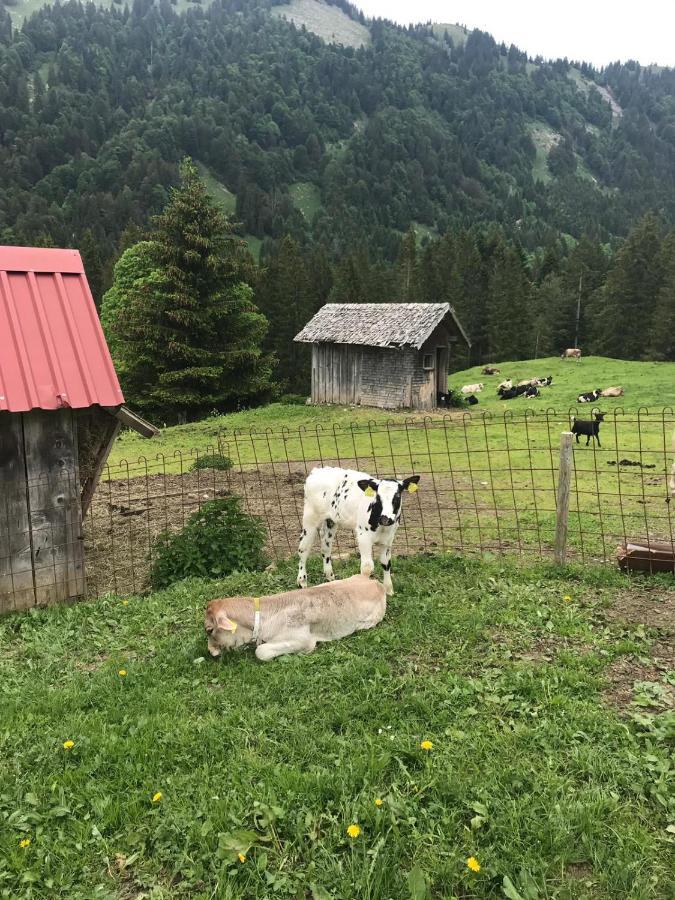 Bauernhof Jausenstation Neuschwand Hittisau