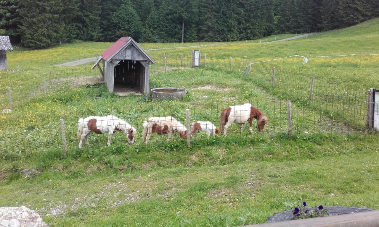 Jausenstation Neuschwand