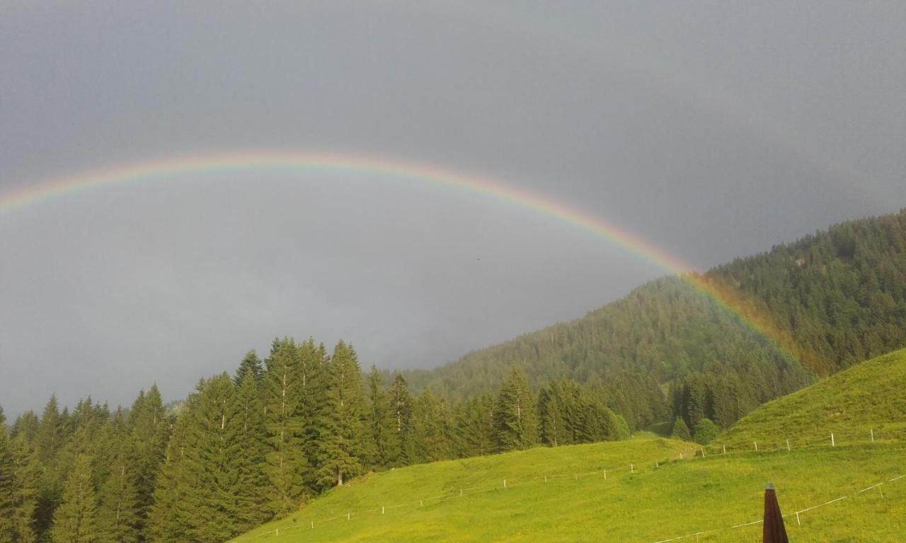 Jausenstation Neuschwand Bauernhof Hittisau